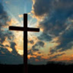 Meet your Posher, Tillman